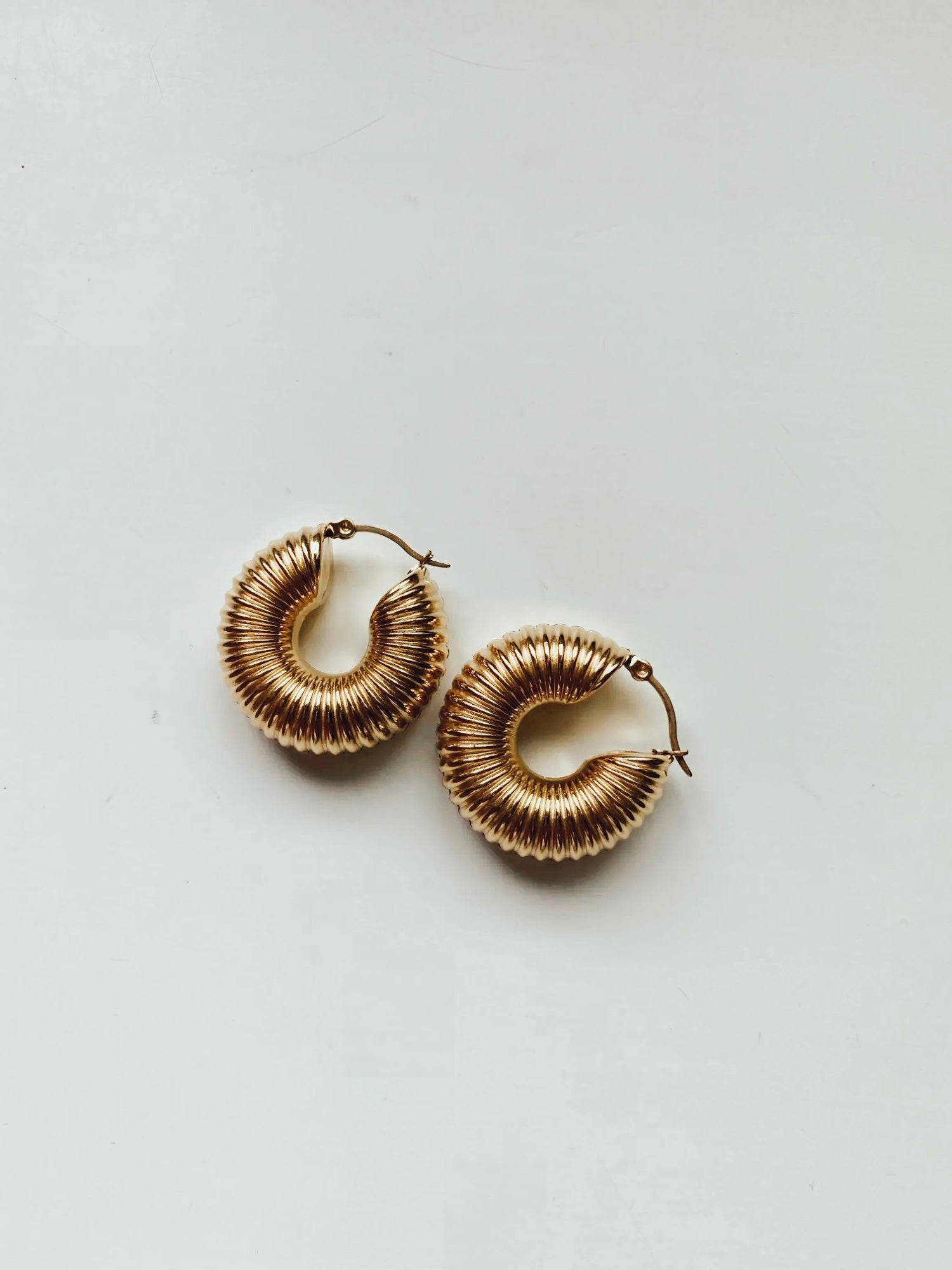 Chunky Hoop image 1