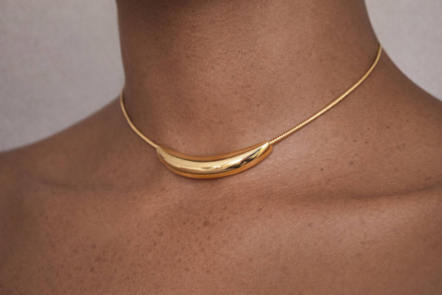 Reneax Choker
